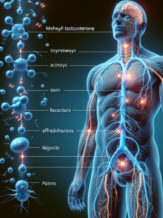 Cómo afecta Methyltestosterone a tu tolerancia al dolor