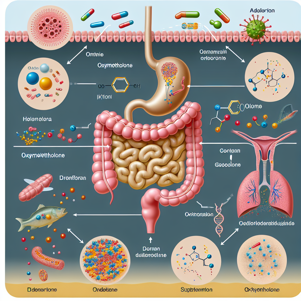 Cómo reacciona la microbiota intestinal a Oximetolona