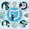 Qué hacer si Syntol altera tu ritmo intestinal