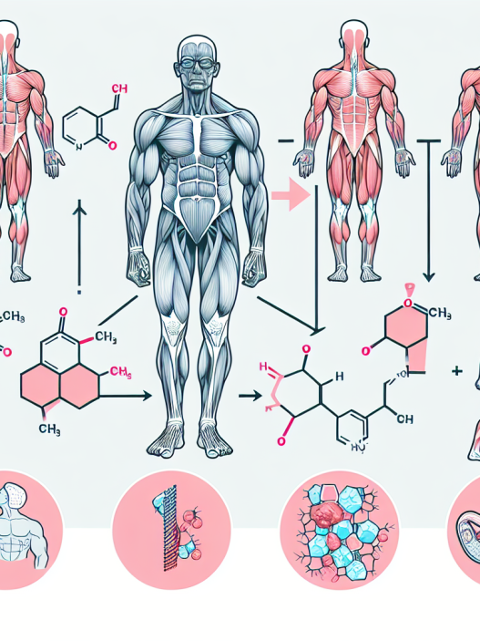 Qué tan catabólico puede volverse el cuerpo al dejar Methandienone inyectables